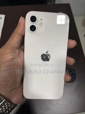 Apple iPhone 12 (Used)