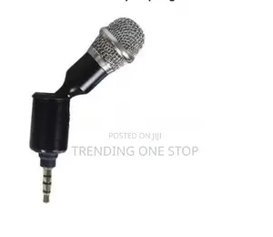 Mini Aux Mobile Mic