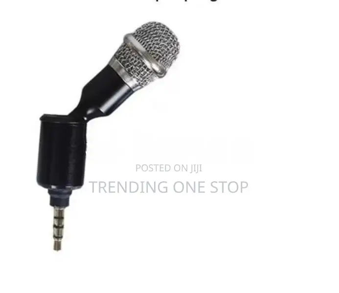 Mini Aux Mobile Mic