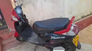 Hero Pleasure 2012