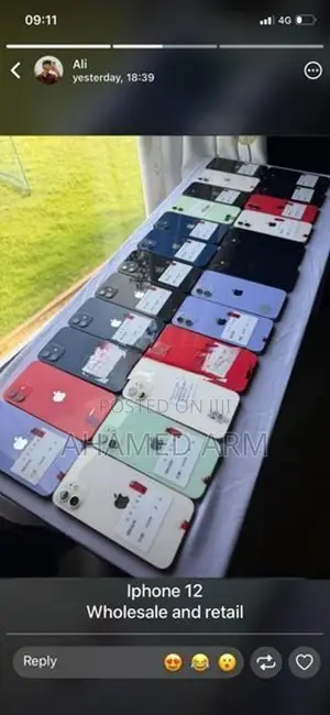 Apple iPhone 12 (Used)