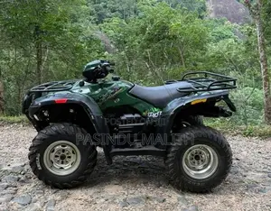 Honda 4x4 ATV Beach Quad 2016