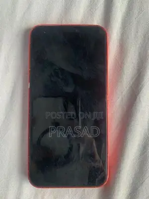 Apple iPhone 12 Mini Display
