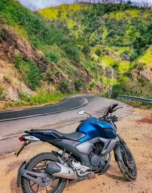 Yamaha FZ S 2019