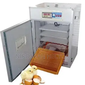 Incubator 50 Eggs Semi Automatic