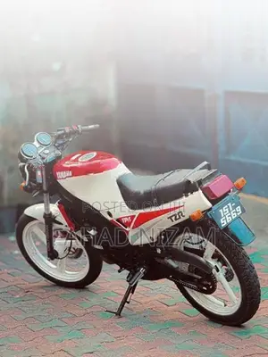 Yamaha TZR double disk 1996
