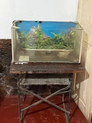 Fish Tank with Equipment