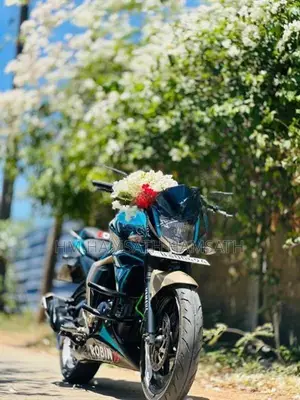 Yamaha FZ S 2018