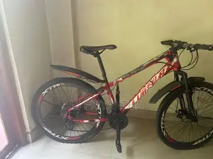Mountain Bicycle