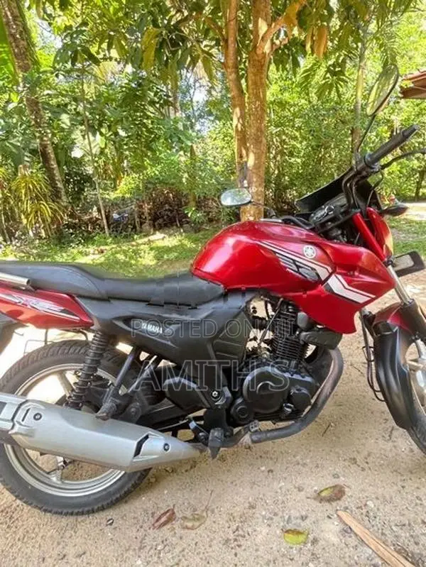 Yamaha SZR 2013
