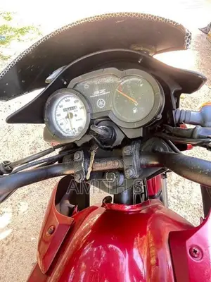 Yamaha SZR 2013