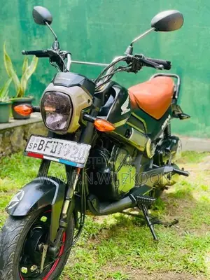 Honda Navi 2017
