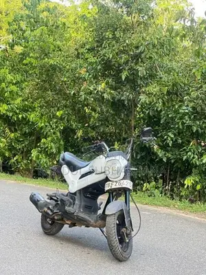 Honda Navi 2017