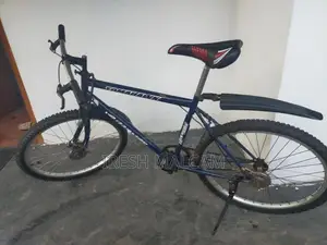 Mountain Bicycle