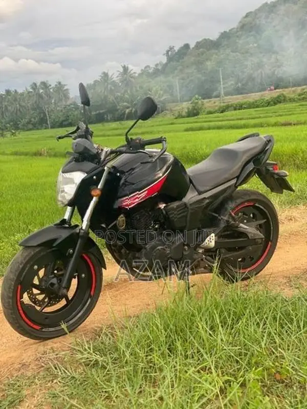 Yamaha FZS V1 2014