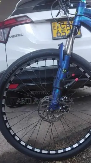 AVRL mountain bike