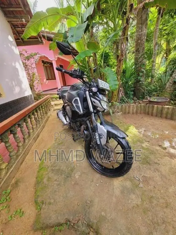 Yamaha FZS V3 2019