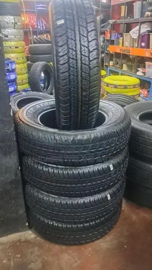 225/70R17 Dunlop Tyres