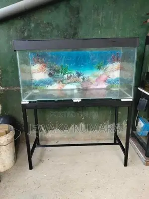 Fish Tank