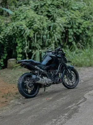 Yamaha FZS V3 2019