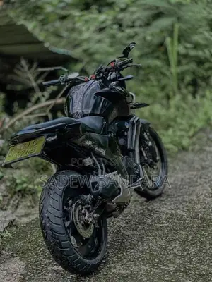 Yamaha FZS V3 2019