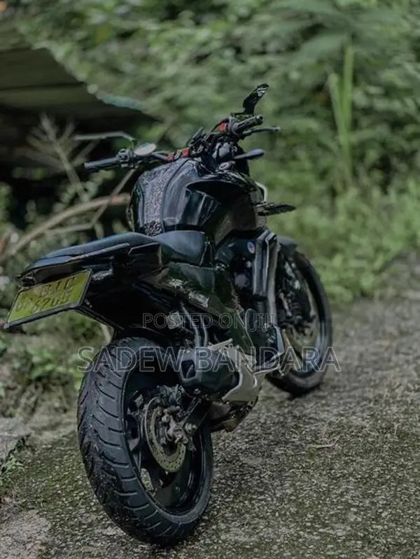 Yamaha FZS V3 2019