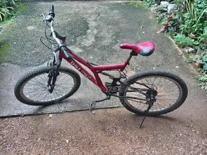 DSI Mountain Bicycle
