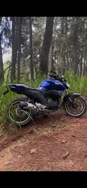Yamaha FZS V3 2019