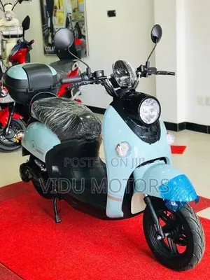 E Bike XGW 2026