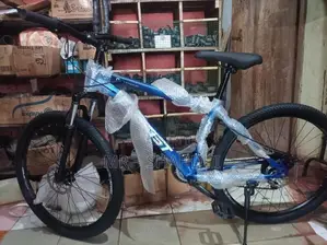 Mountain Bicycle