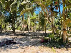 මිදිගමින් වටිනා ඉඩමක්