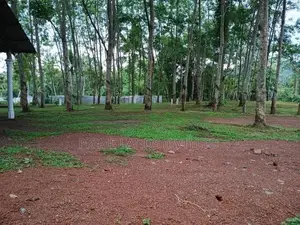 Land for Sale Divlapitiya