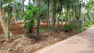 ඉඩමක් කදාන නගරයෙන්