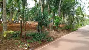 අගනා බිම් කොටස් කදාන වැදගත් අසල්වැසි පරිසරයක පදිංචියට