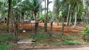 අගනා බිම් කොටස් කදාන බටගම දොලහේන පාර පදිංචියට