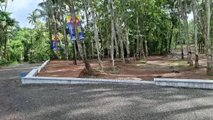 Land in Diwulapitiya