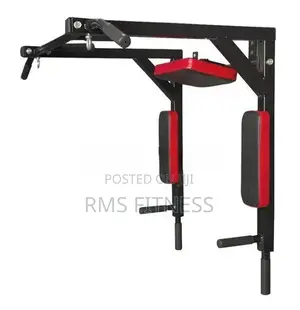 Brand New Wall Mount Chin Up Bar