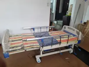 Four Function Manual Beds with Sanitory