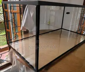 Fish Tank
