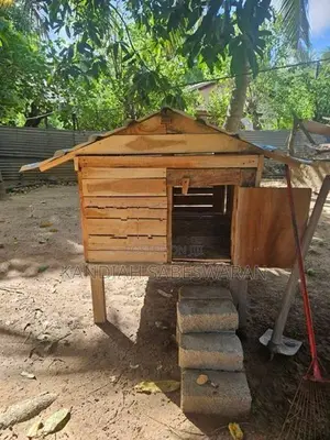 Chicken Cage