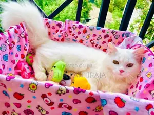 Persian