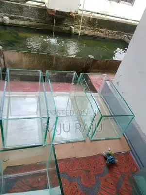 New Fish Tanks