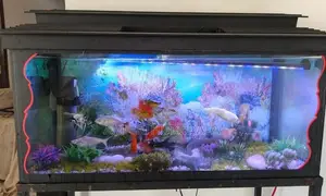 Fish Tank