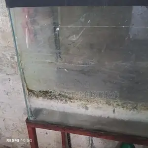 Fish Tank
