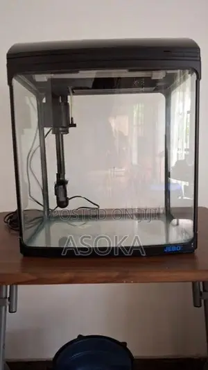 Fish Tank