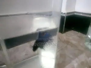 Crowntail Fighter fish