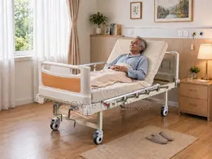 Two Function Hospital Bed With Mattress
