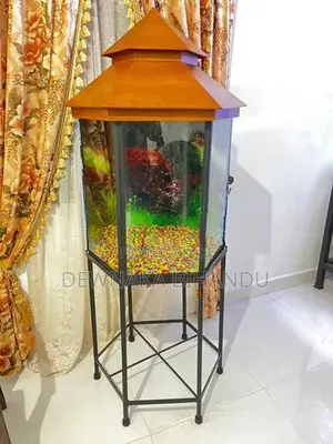 New Fish Tank