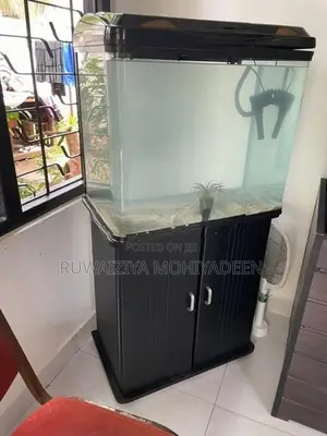 Fish Tanks