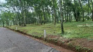 දිවුලපිටිය නගරයෙන් බිම් කොටස්